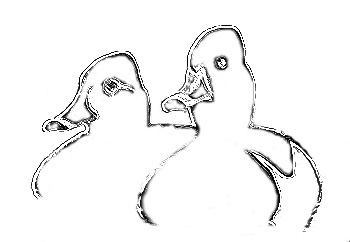 Het Eendentuintje Logo